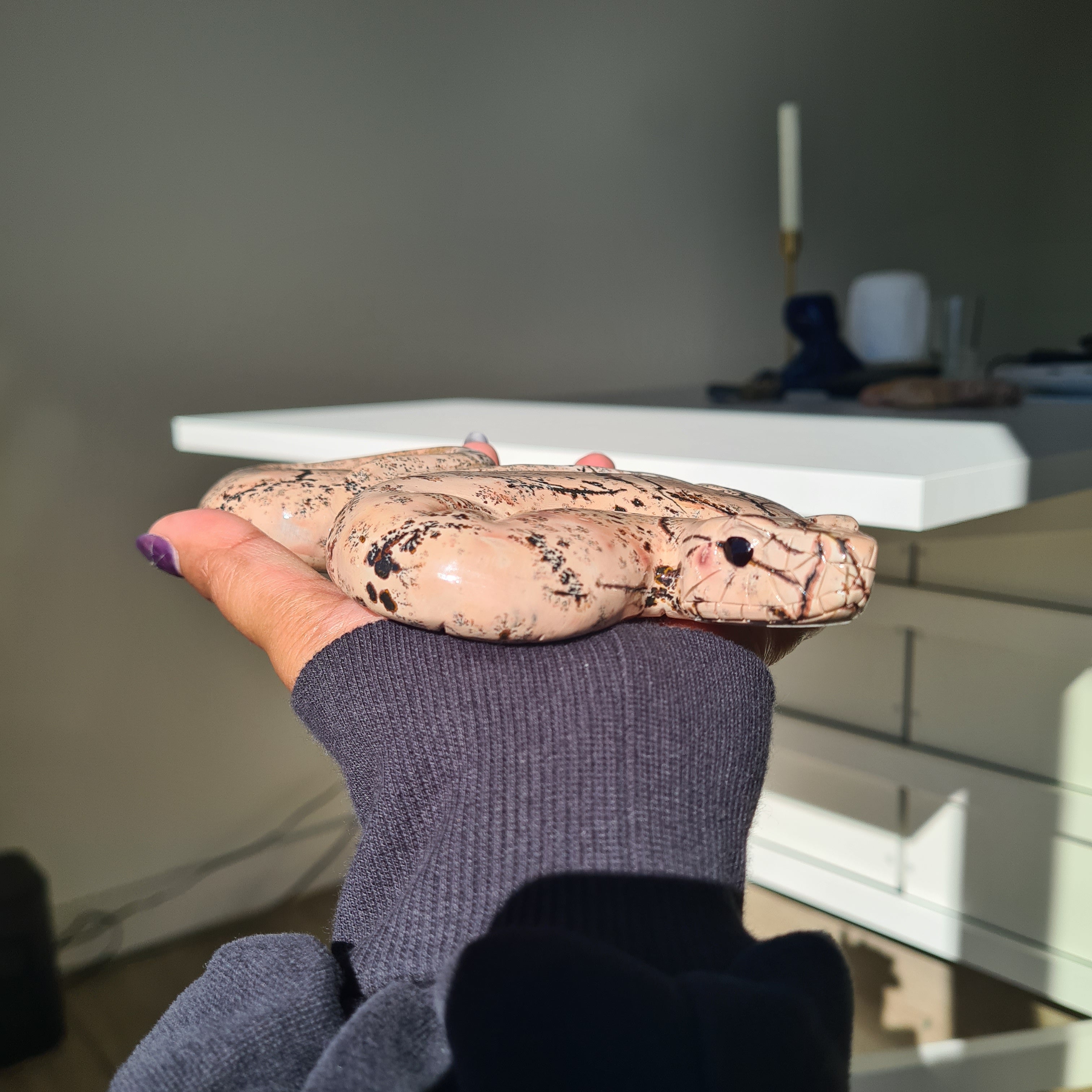 Picture Jasper Serpent | B | 540 g | 16 cm