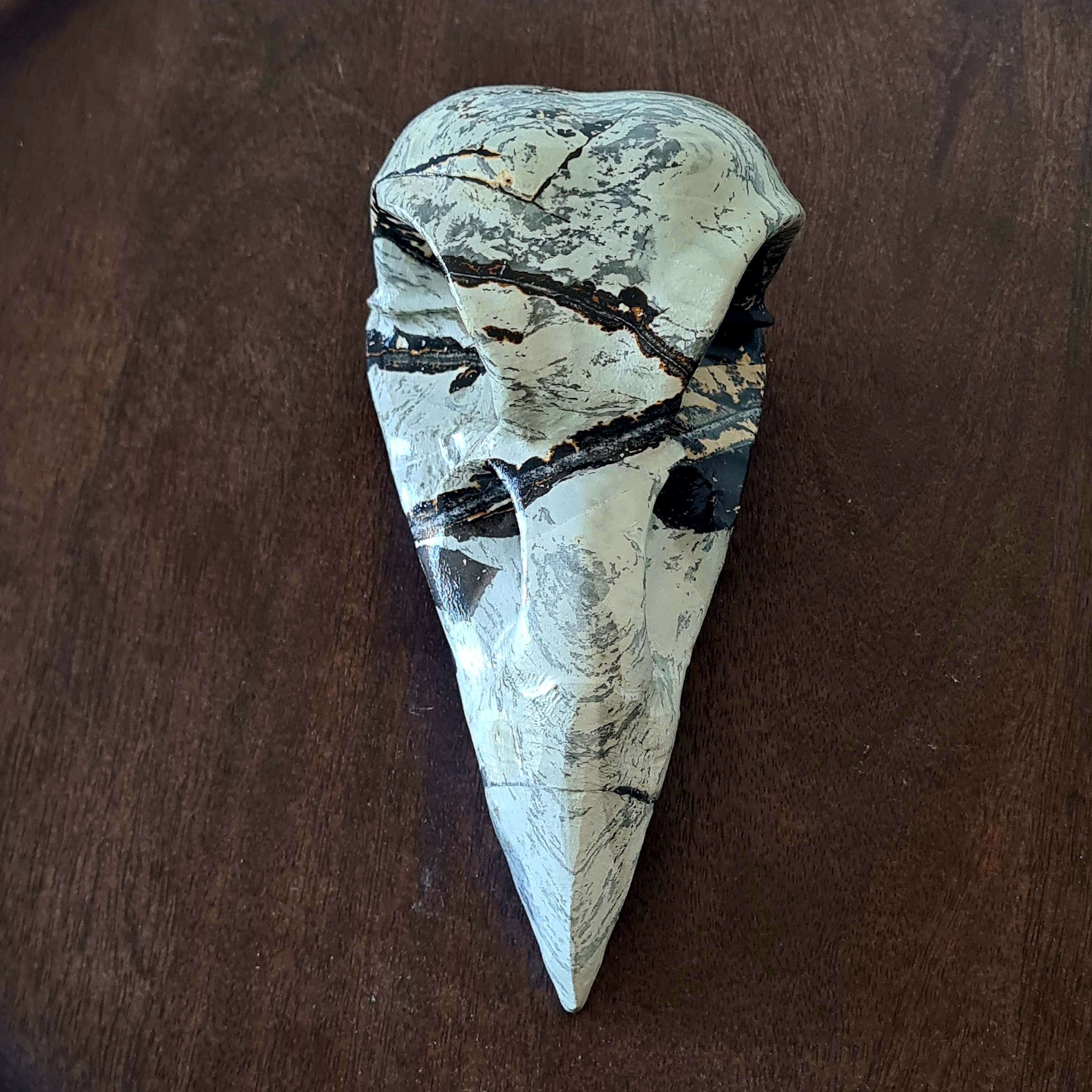 Mystic Picture Jasper Raven Skull | 14 cm | 400 g
