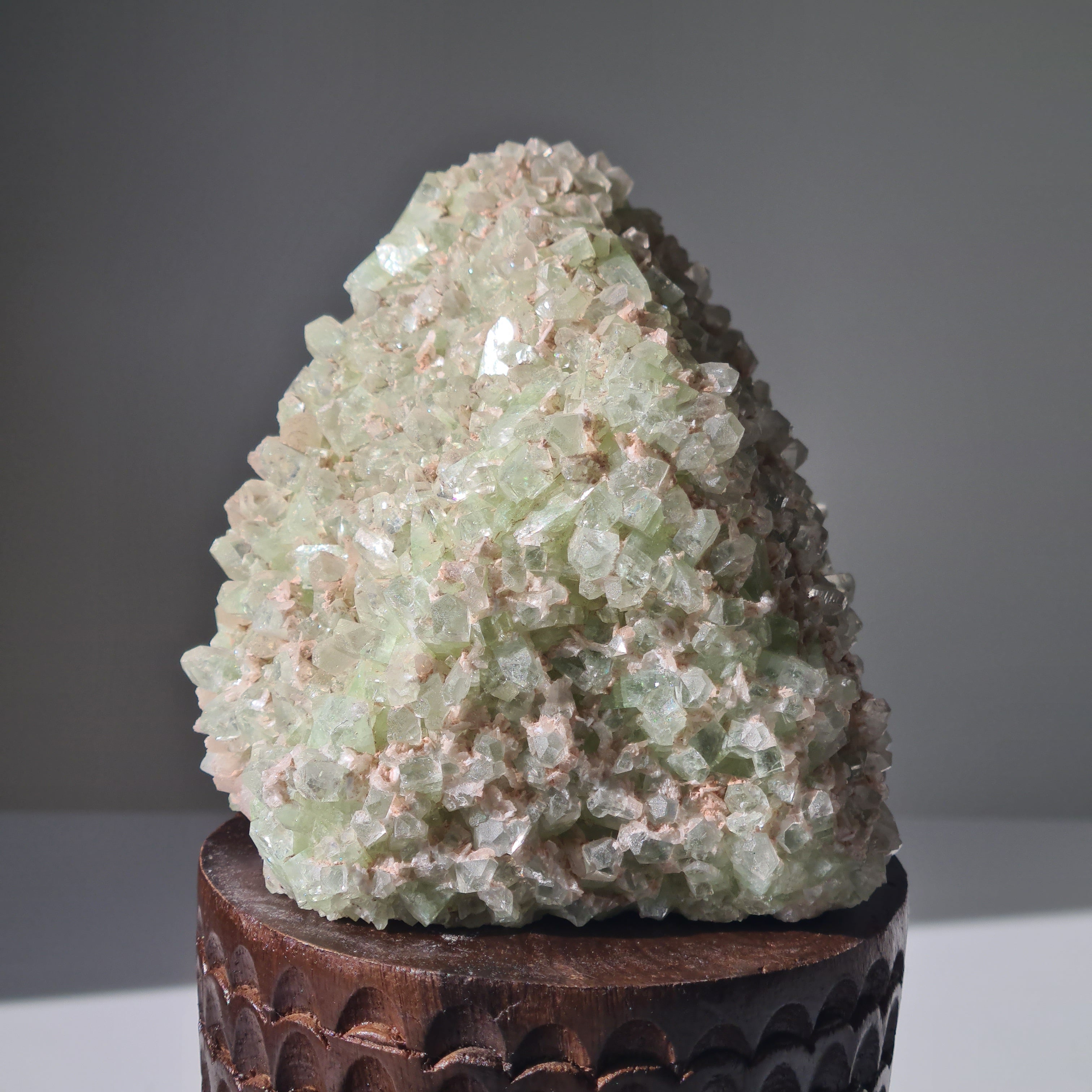 Captain Grimwell | Green Apophyllite Specimen Crusted Skull 💀