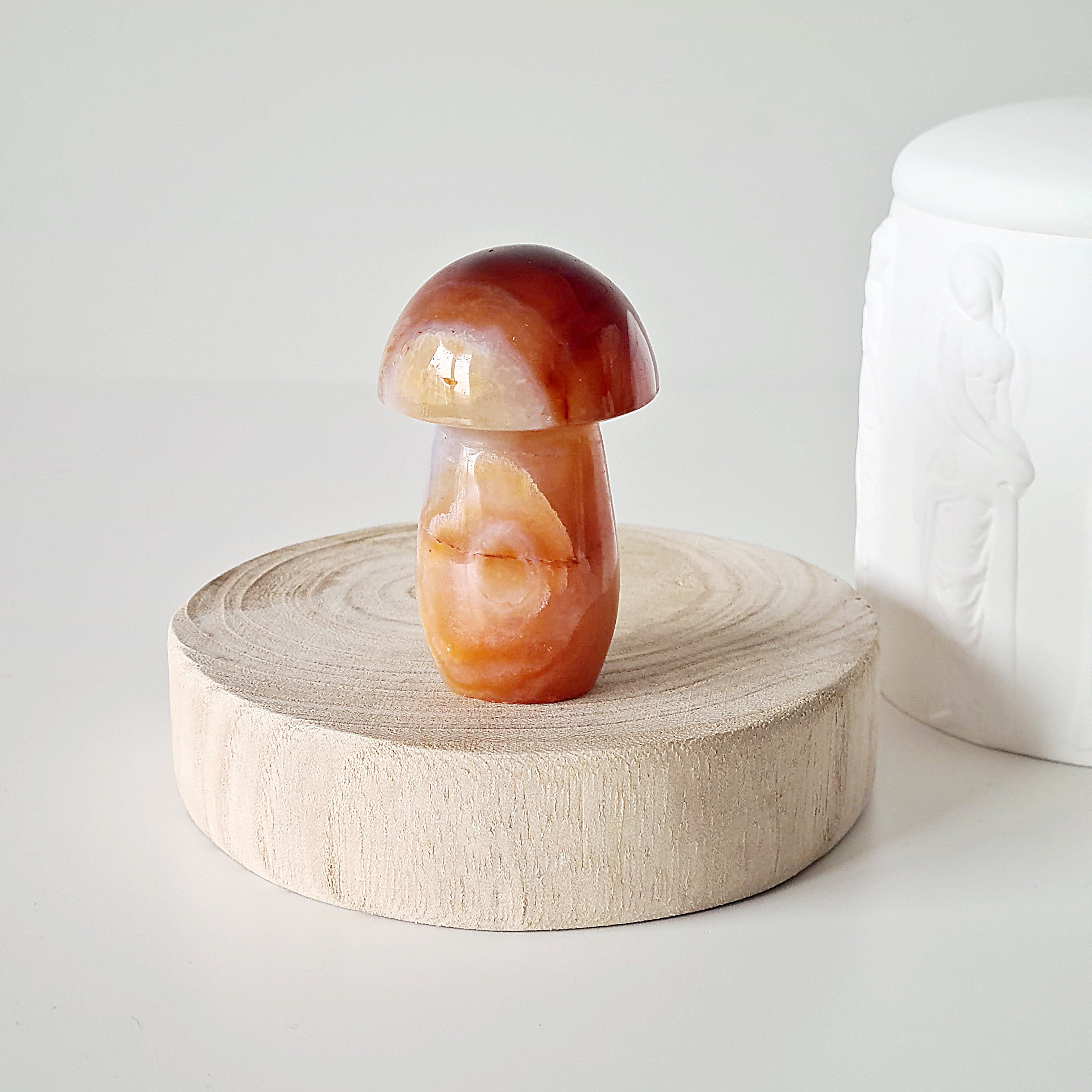 Carnelian Mushroom 🍄 | Forest Fae Collection | 123 g