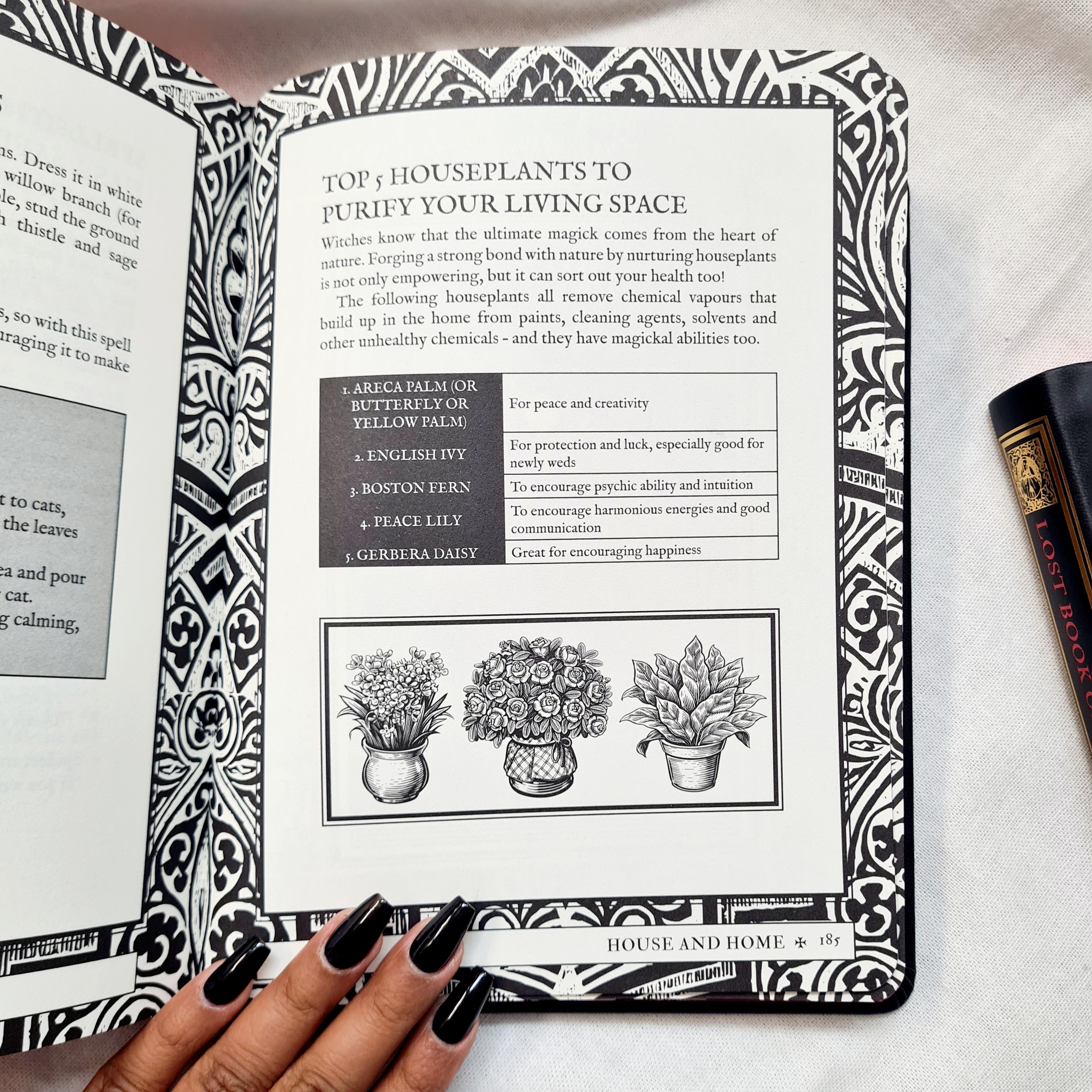 Lost Book of Spells | By: Fiona Horne