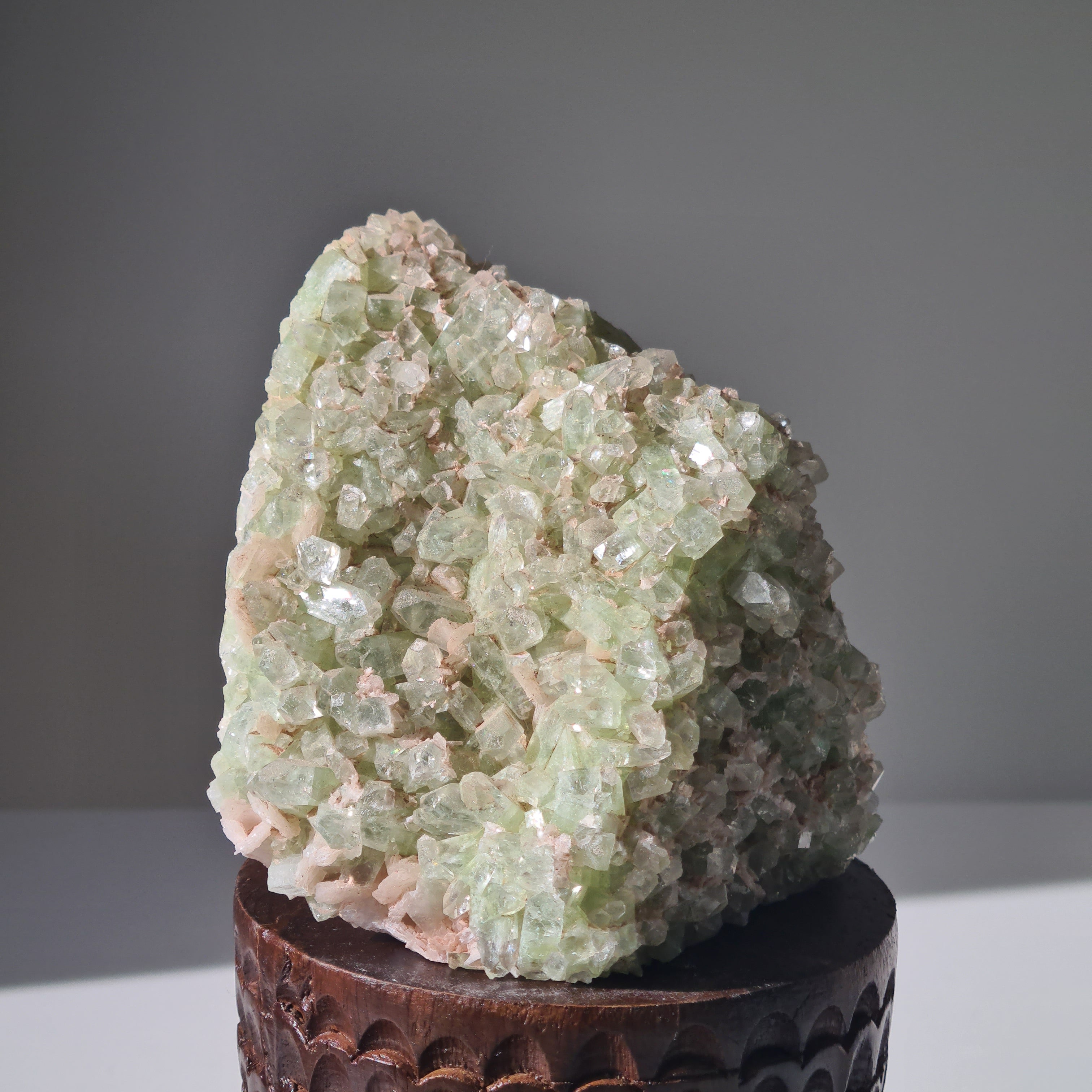 Captain Grimwell | Green Apophyllite Specimen Crusted Skull 💀