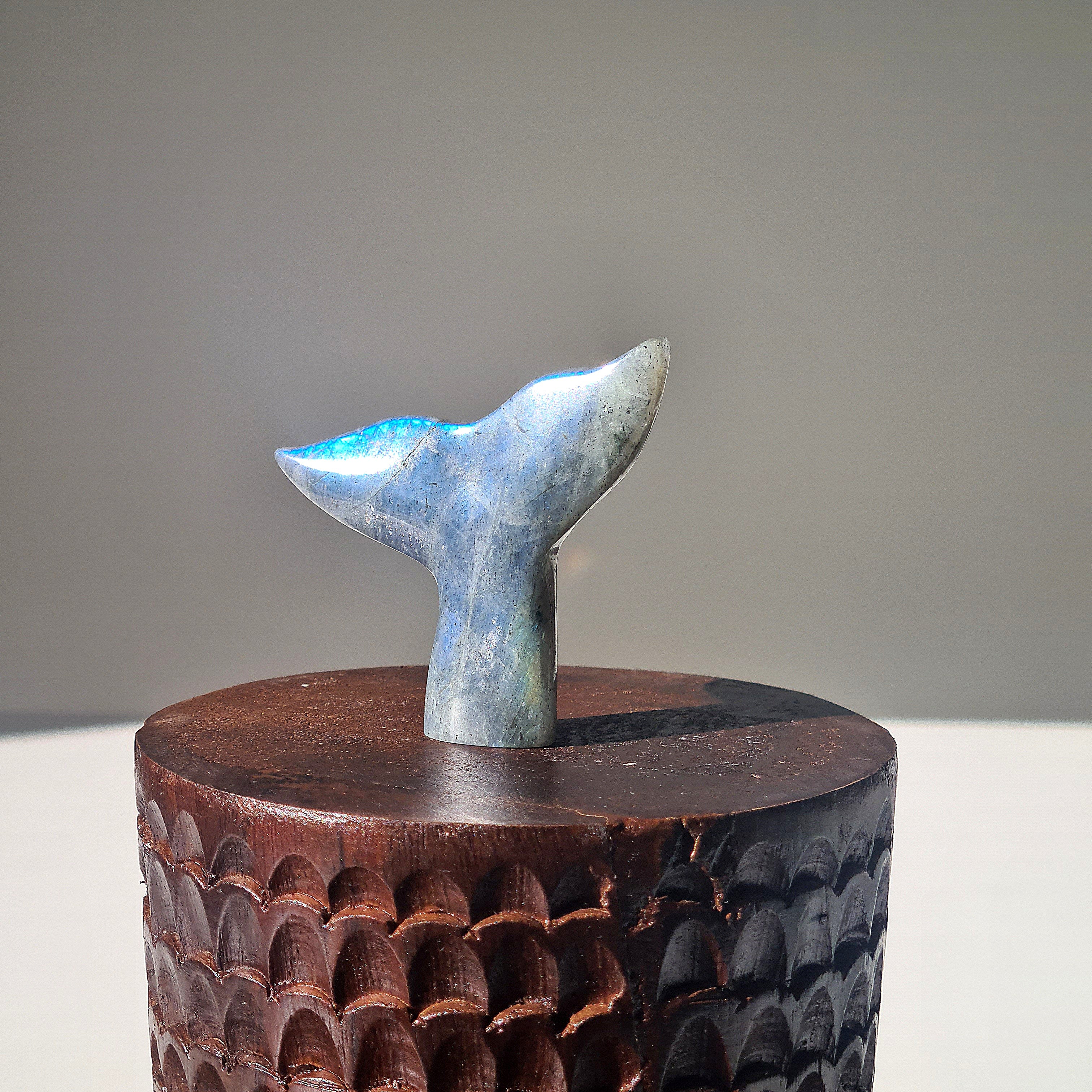 Labradorite Siren Tail | D | Small