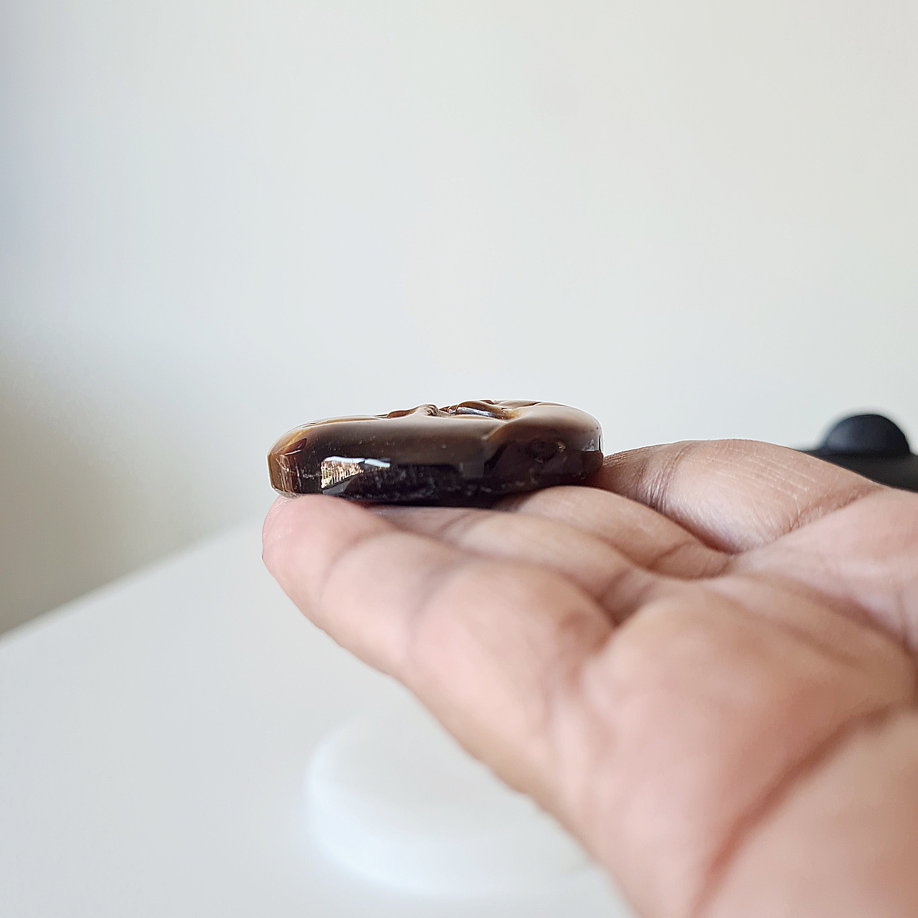 Tiger's Eye Sun Moon Coin | B