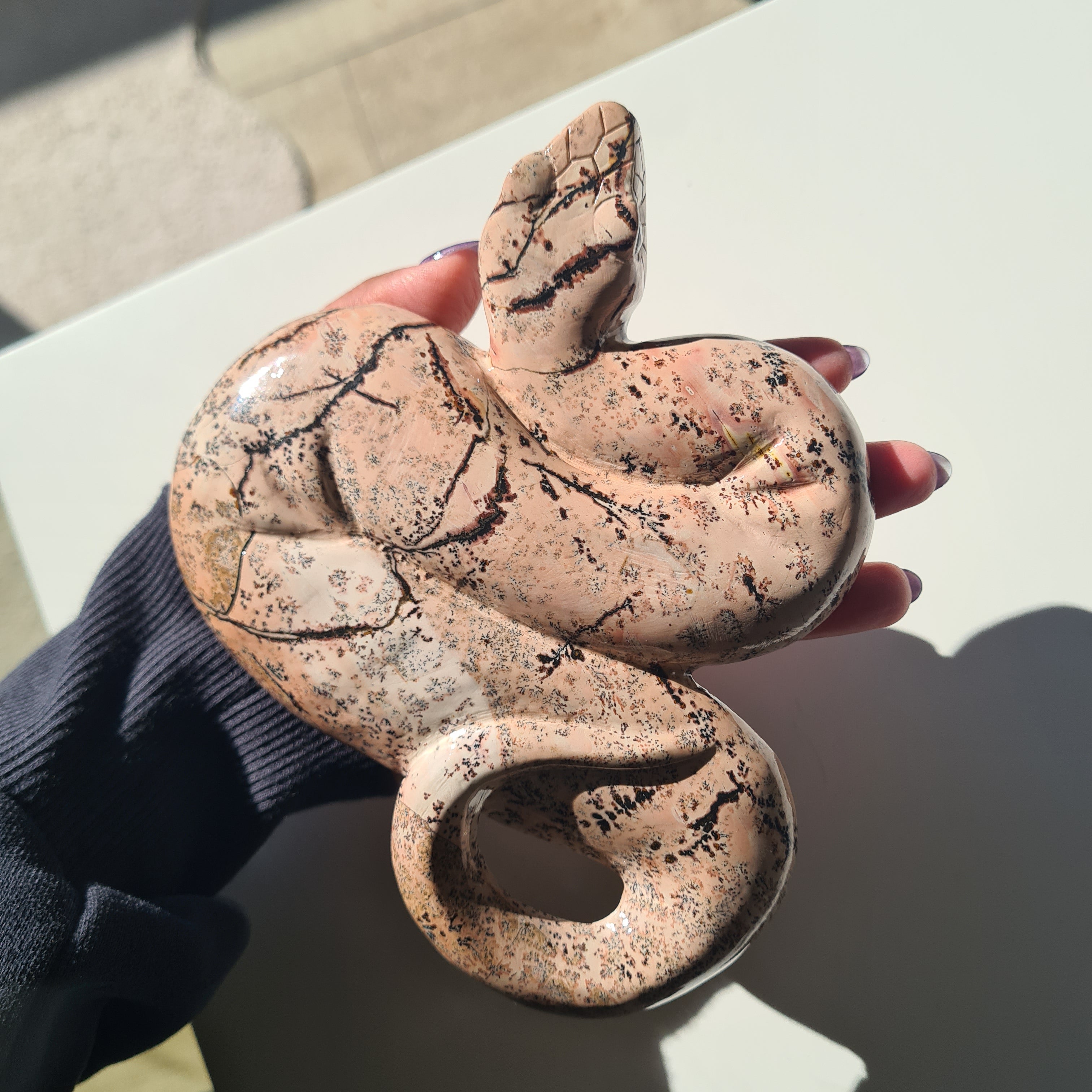 Picture Jasper Serpent | B | 540 g | 16 cm