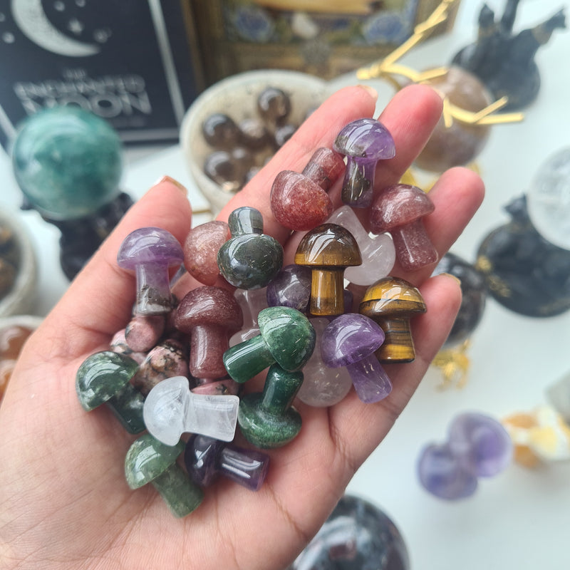 Crystal Mushroom ~ 1 pc Randomly picked
