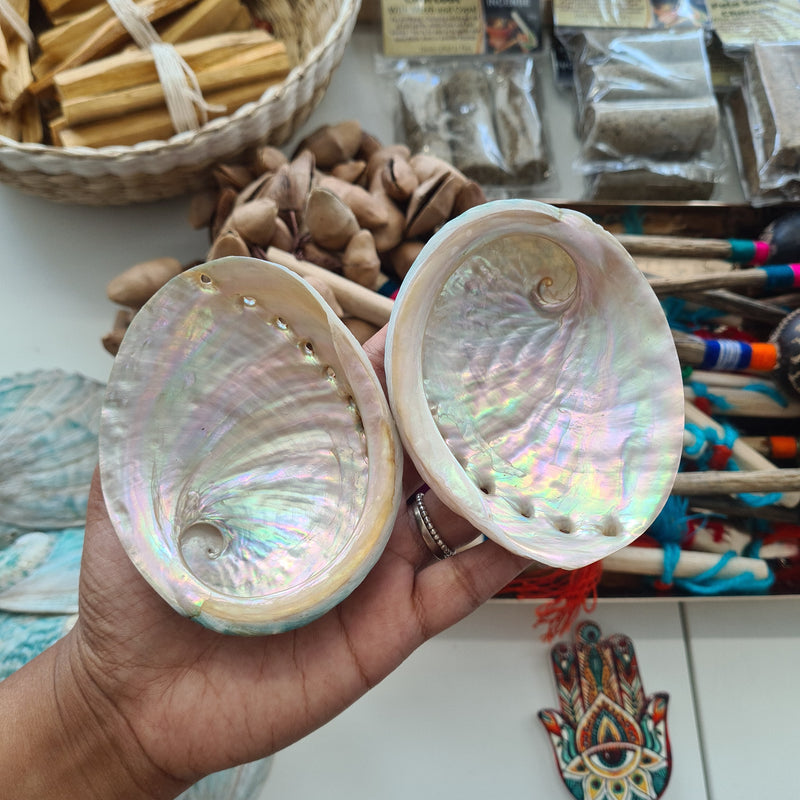Abalone Shell (Small Size) 1 piece
~ Smudging