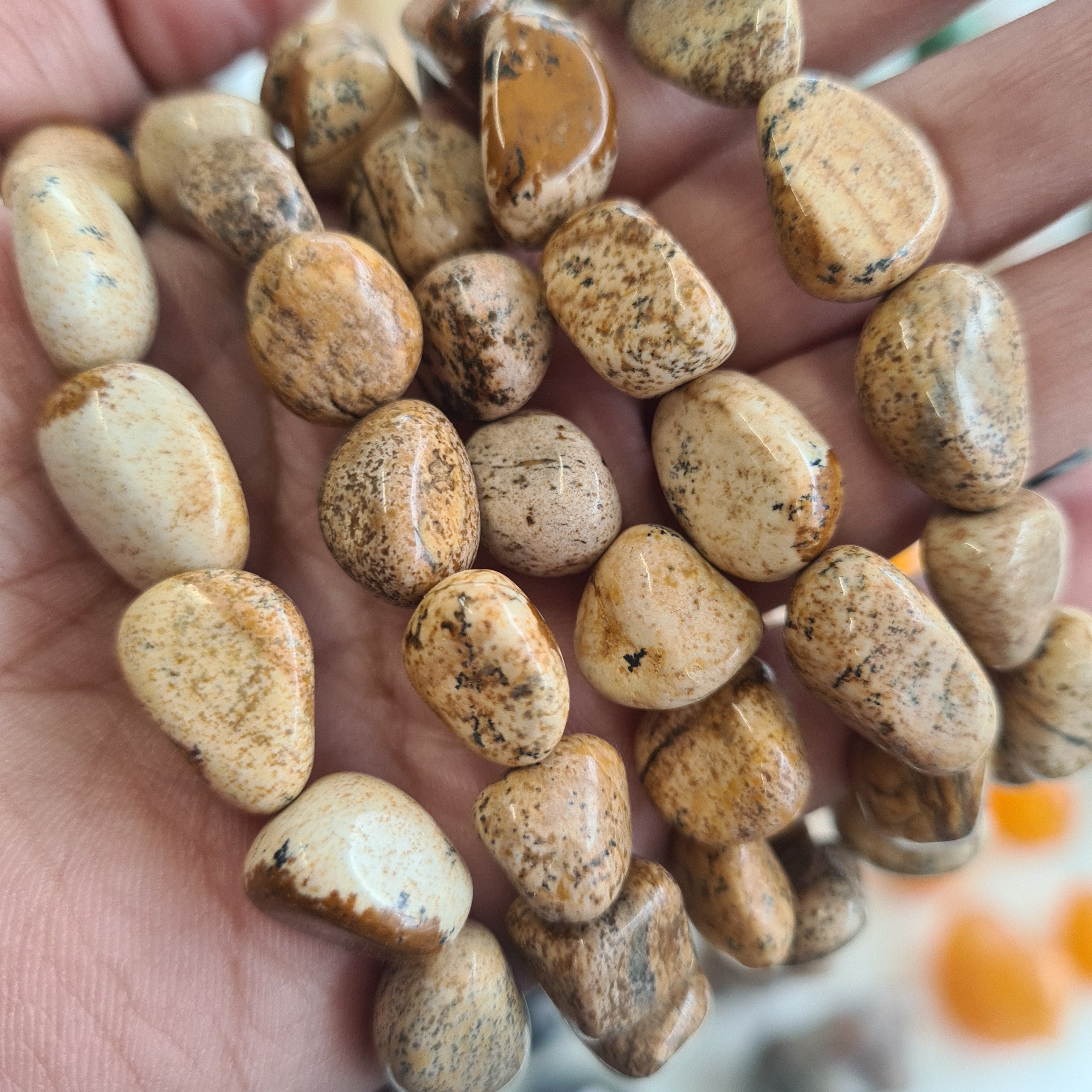 Picture Jasper bracelet